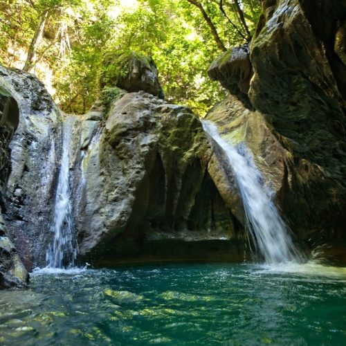 DAMAJAGUA