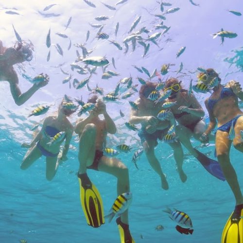 Excurson-snorkeling-en-familia-con-gozate-punta-cana