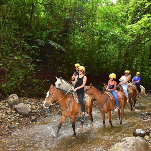 Tour- Horse riding- cabarete- puerto plata