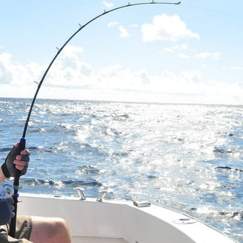 fishing_main