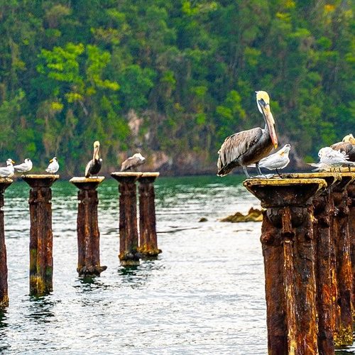 haitises_2