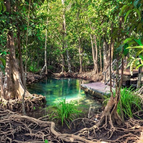 parque-nacional-los-haitises